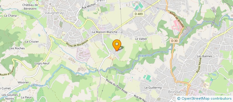 localisation de l'entreprise MADAME MARIA DA SILVA LOUREIRO  VAUGNERAY