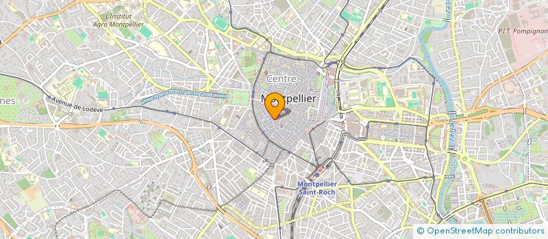 localisation de l'entreprise MADAME MARIA DE ANDRADE NOVAES à MONTPELLIER