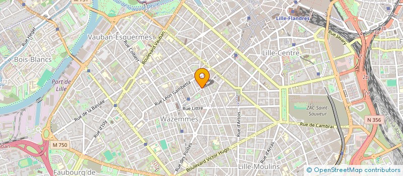 localisation de l'entreprise MADAME MARIA DE LOS ANGELES MARTYNSKI  LILLE