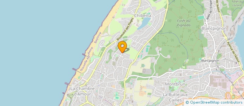 localisation de l'entreprise MADAME MARIA DE MELO  ANGLET