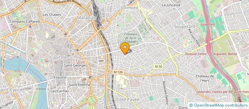 localisation de l'entreprise MADAME MARIA DEL VALLE SERRANO ROJAS  TOULOUSE