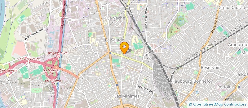 localisation de l'entreprise MADAME MARIA DELASSUS  TOULOUSE