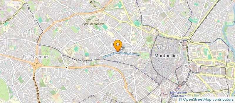 localisation de l'entreprise MADAME MARIA DURAN ARANA à MONTPELLIER