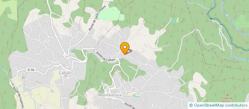 localisation de l'entreprise MADAME MARIA ELISABETH WACLAWIK  MONTAUROUX