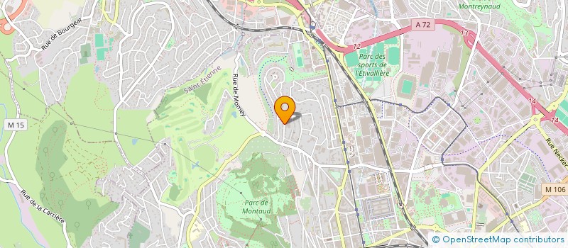 localisation de l'entreprise MADAME MARIA-FATIMA SALGUEIRO  SAINT-ETIENNE