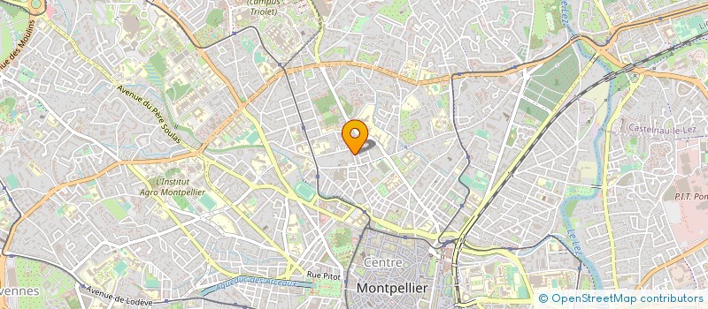 localisation de l'entreprise MADAME MARIA GRISOLIERE à MONTPELLIER