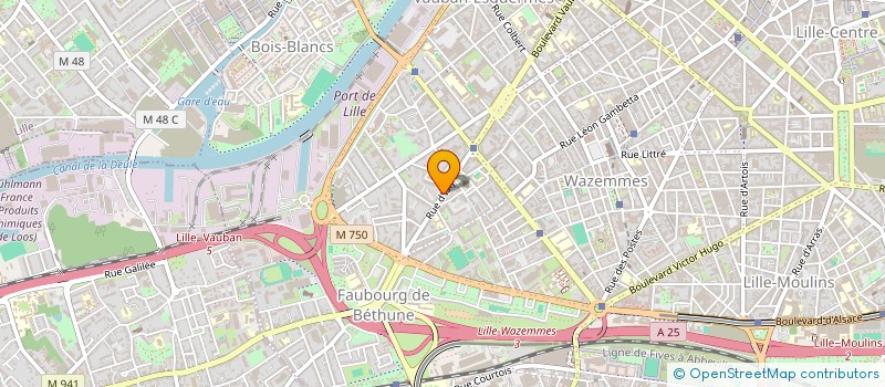 localisation de l'entreprise MADAME MARIA JOSE NAVARRETE DONOSO à LILLE