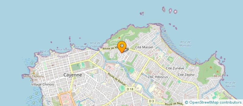 localisation de l'entreprise MADAME MARIA JURACILDA BARBOSA DOS REIS  CAYENNE