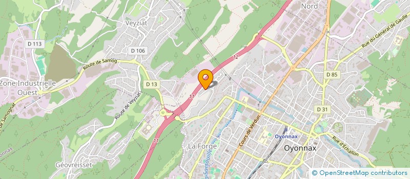 localisation de l'entreprise MADAME MARIA LUISA PAIVA à OYONNAX
