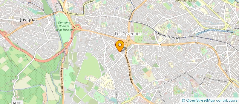 localisation de l'entreprise MADAME MARIA MAGDALENA FASANO MARQUEZ à MONTPELLIER