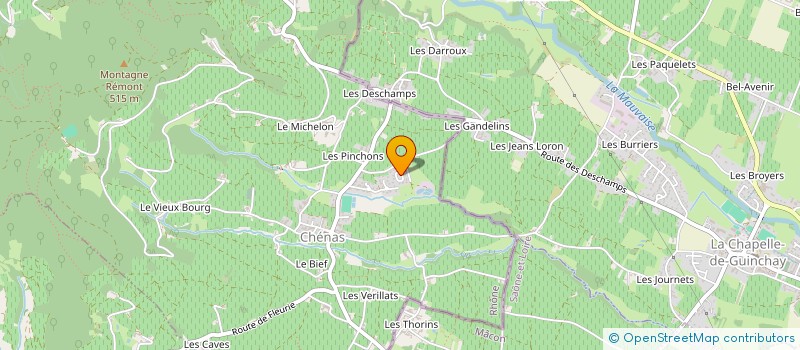 localisation de l'entreprise MADAME MARIA MANUELA NICOLAU DA CUNHA RIBEIRO à CHENAS