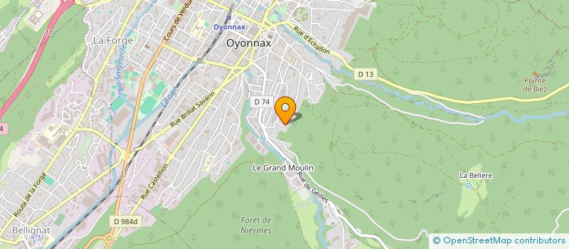 localisation de l'entreprise MADAME MARIA MARDONES FIGUEROAS à OYONNAX
