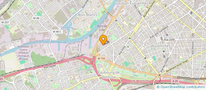 localisation de l'entreprise MADAME MARIA MARTINEZ RODRIGUEZ à LILLE