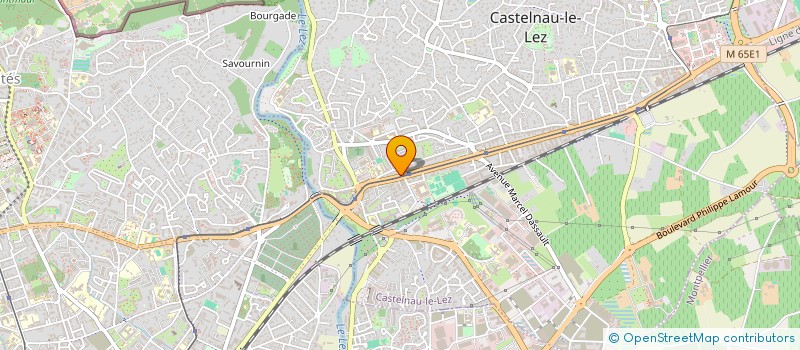 localisation de l'entreprise MADAME MARIA MASTROSAVVA à CASTELNAU-LE-LEZ