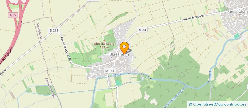 localisation de l'entreprise MADAME MARIA MENDEZ SUARES  BLAESHEIM