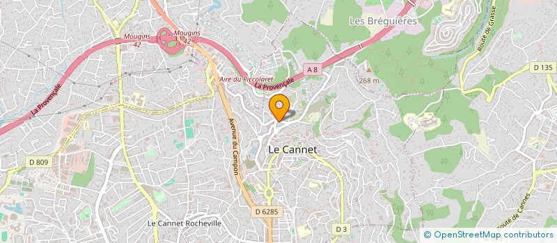 localisation de l'entreprise MADAME MARIA MOLCHANOVA à LE CANNET