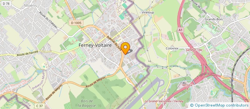 localisation de l'entreprise MADAME MARIA OSSA BASANES à FERNEY-VOLTAIRE