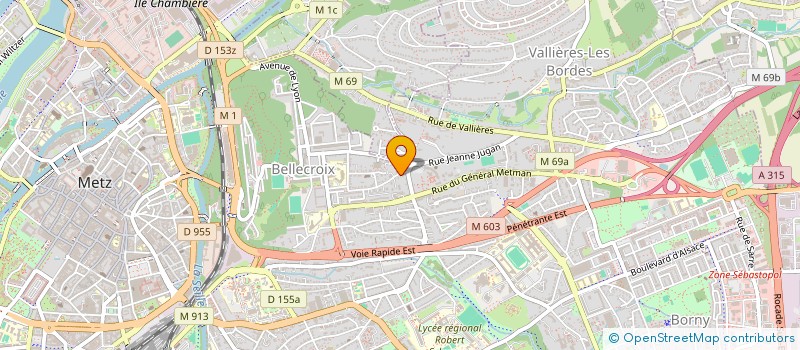 localisation de l'entreprise MADAME MARIA RIBEIRO DO REGO à METZ