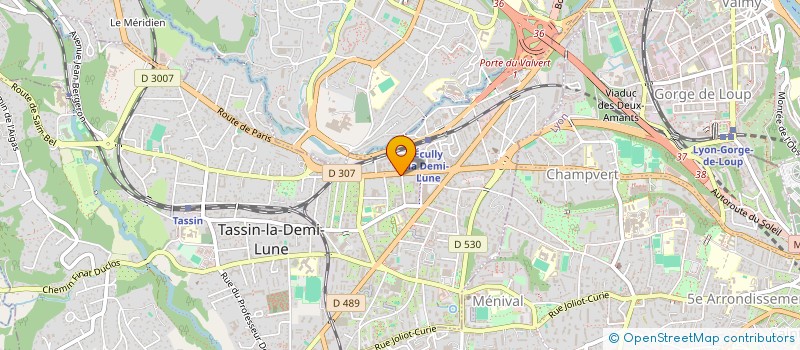 localisation de l'entreprise MADAME MARIA ROTEA  TASSIN-LA-DEMI-LUNE