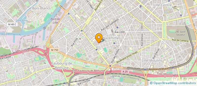 localisation de l'entreprise MADAME MARIANNA PASTORE  LILLE