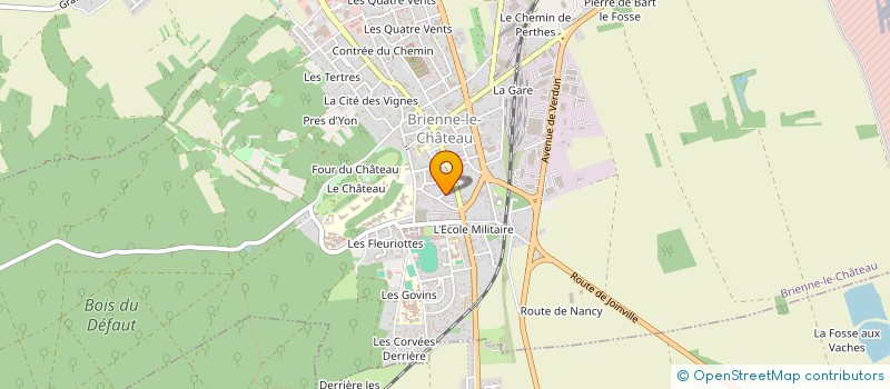 localisation de l'entreprise MADAME MARIANNE BODSON  BRIENNE-LE-CHATEAU