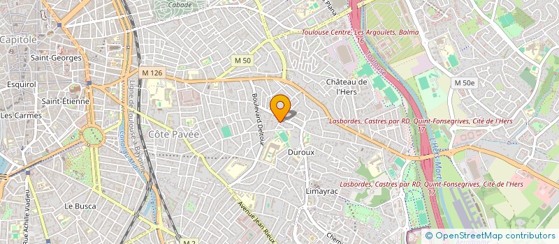 localisation de l'entreprise MADAME MARIANNE BRAUX  TOULOUSE