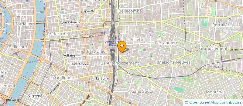 localisation de l'entreprise MADAME MARIANNE CHANTIN  LYON