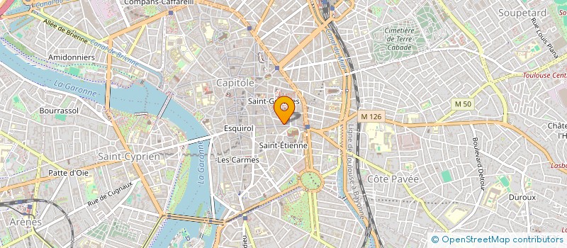 localisation de l'entreprise MADAME MARIANNE DESSENA  TOULOUSE