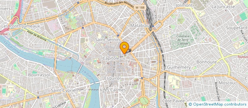 localisation de l'entreprise MADAME MARIANNE FACON  TOULOUSE