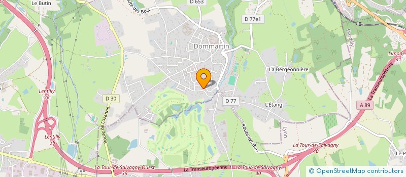 localisation de l'entreprise MADAME MARIANNE FIGER  DOMMARTIN