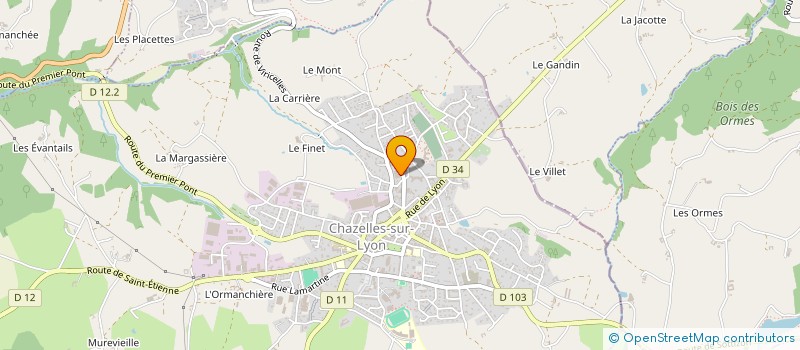 localisation de l'entreprise MADAME MARIANNE GOMY  CHAZELLES-SUR-LYON