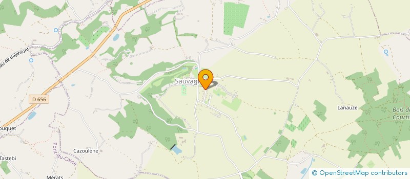 localisation de l'entreprise MADAME MARIANNE JASPIERRE  SAUVAGNAS