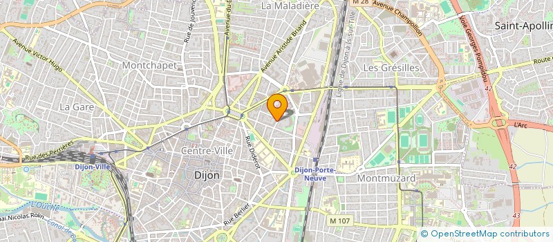 localisation de l'entreprise MADAME MARIANNE LEGOUGE à DIJON