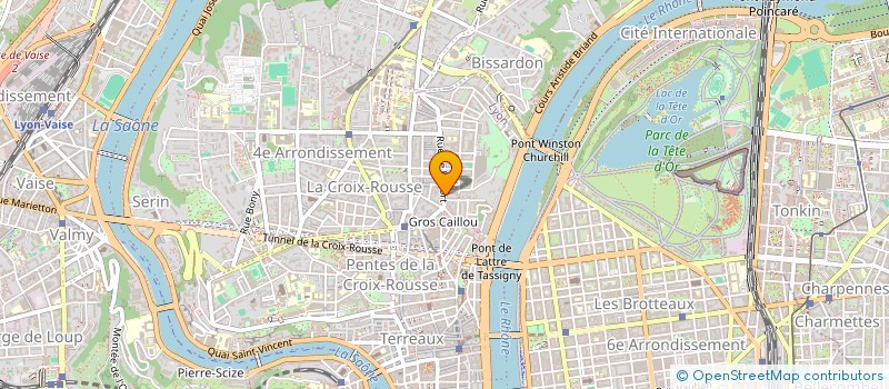 localisation de l'entreprise MADAME MARIANNE MAFFRAY  LYON