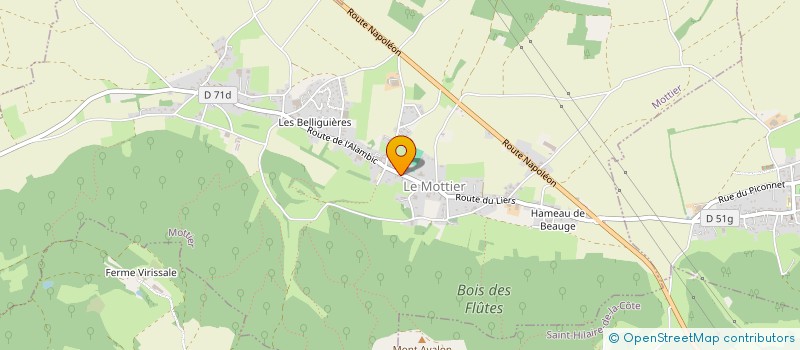 localisation de l'entreprise MADAME MARIANNE NEMOZ  MOTTIER