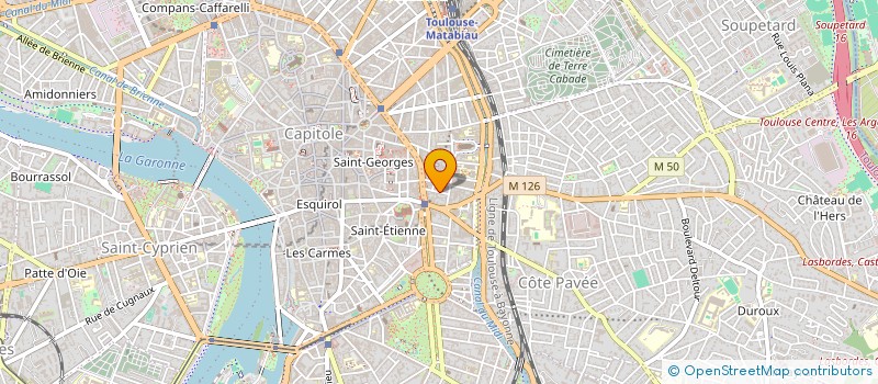 localisation de l'entreprise MADAME MARIASOLE ARTIOLI à TOULOUSE