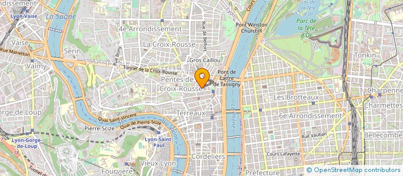 localisation de l'entreprise MADAME MARIE-AGNES CHARPIN à LYON