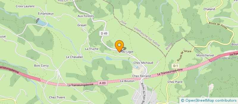 localisation de l'entreprise MADAME MARIE-AGNES DELORME  VIOLAY