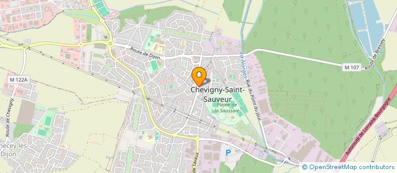 localisation de l'entreprise MADAME MARIE-AGNES JACQUIN  CHEVIGNY-SAINT-SAUVEUR
