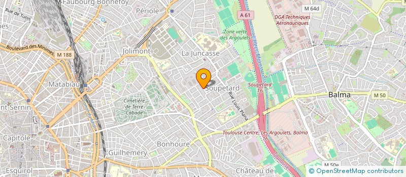 localisation de l'entreprise MADAME MARIE AGNES JEANNE F LECORNET à TOULOUSE
