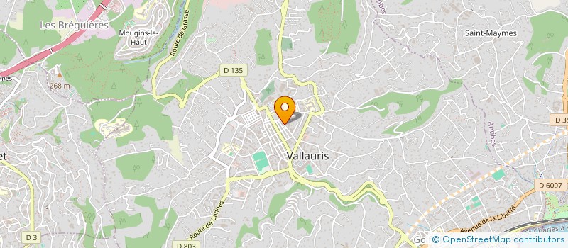 localisation de l'entreprise MADAME MARIE-AIMEE BOUILLON  VALLAURIS