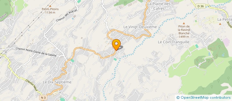 localisation de l'entreprise MADAME MARIE ALANOIX  LE TAMPON