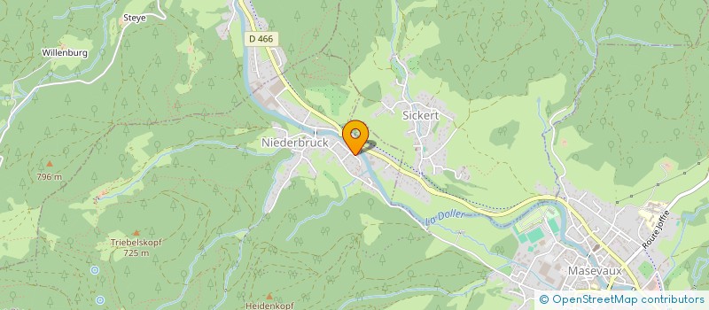 localisation de l'entreprise MADAME MARIE-ALICE ANNE  MASEVAUX-NIEDERBRUCK