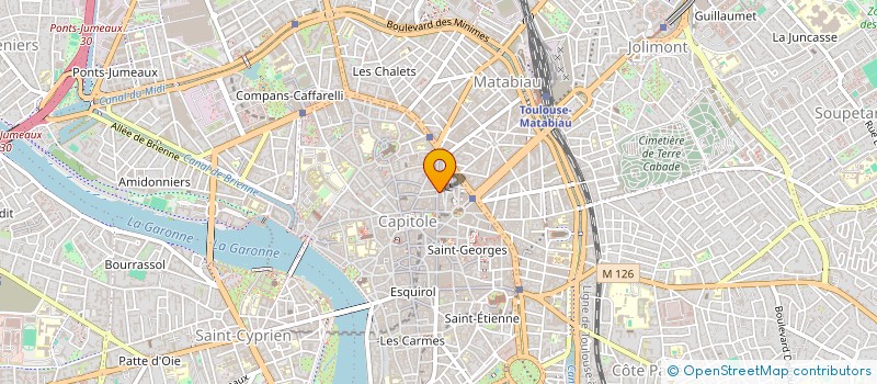 localisation de l'entreprise MADAME MARIE-ANGE ALEXIS  TOULOUSE