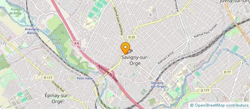 localisation de l'entreprise MADAME MARIE-ANGE DAMOTTE à SAVIGNY-SUR-ORGE