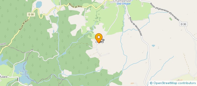 localisation de l'entreprise MADAME MARIE-ANGE JUILLARD  SAINT-GENES-CHAMPESPE