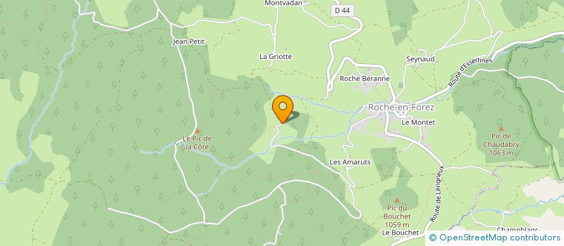 localisation de l'entreprise MADAME MARIE-ANGE RONDEL  ROCHE