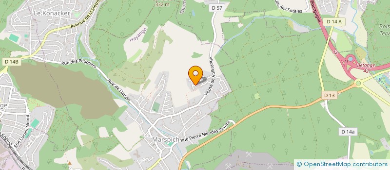 localisation de l'entreprise MADAME MARIE-ANGE SYMIW  HAYANGE