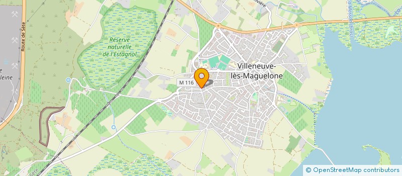 localisation de l'entreprise MADAME MARIE-ANNE DE MARCOVITCH  VILLENEUVE-LES-MAGUELONE