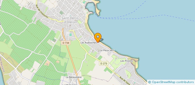 localisation de l'entreprise MADAME MARIE-ANNICK BERBUDEAU  SAINT-DENIS-D'OLERON